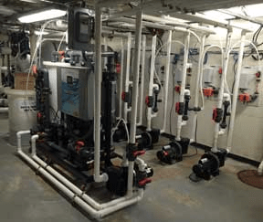 The NEX-GENpH® 80 is an on-site batch chlorine generator that uses salt (see feeder at left) instead of bulk chlorine to produce 80 lbs. of pH-neutral-equivalent chlorine per 24 hours. This unit was installed to feed five pools.