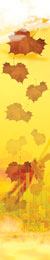 FALL (SEPTEMBER - NOVEMBER)As the leaves start to turn and your patrons begin to reflect on

their summer fun, autumn is a good time for operators to reflect as

well. Spend time reviewing and evaluating, but remember to stay

focused on what’s ahead as well.